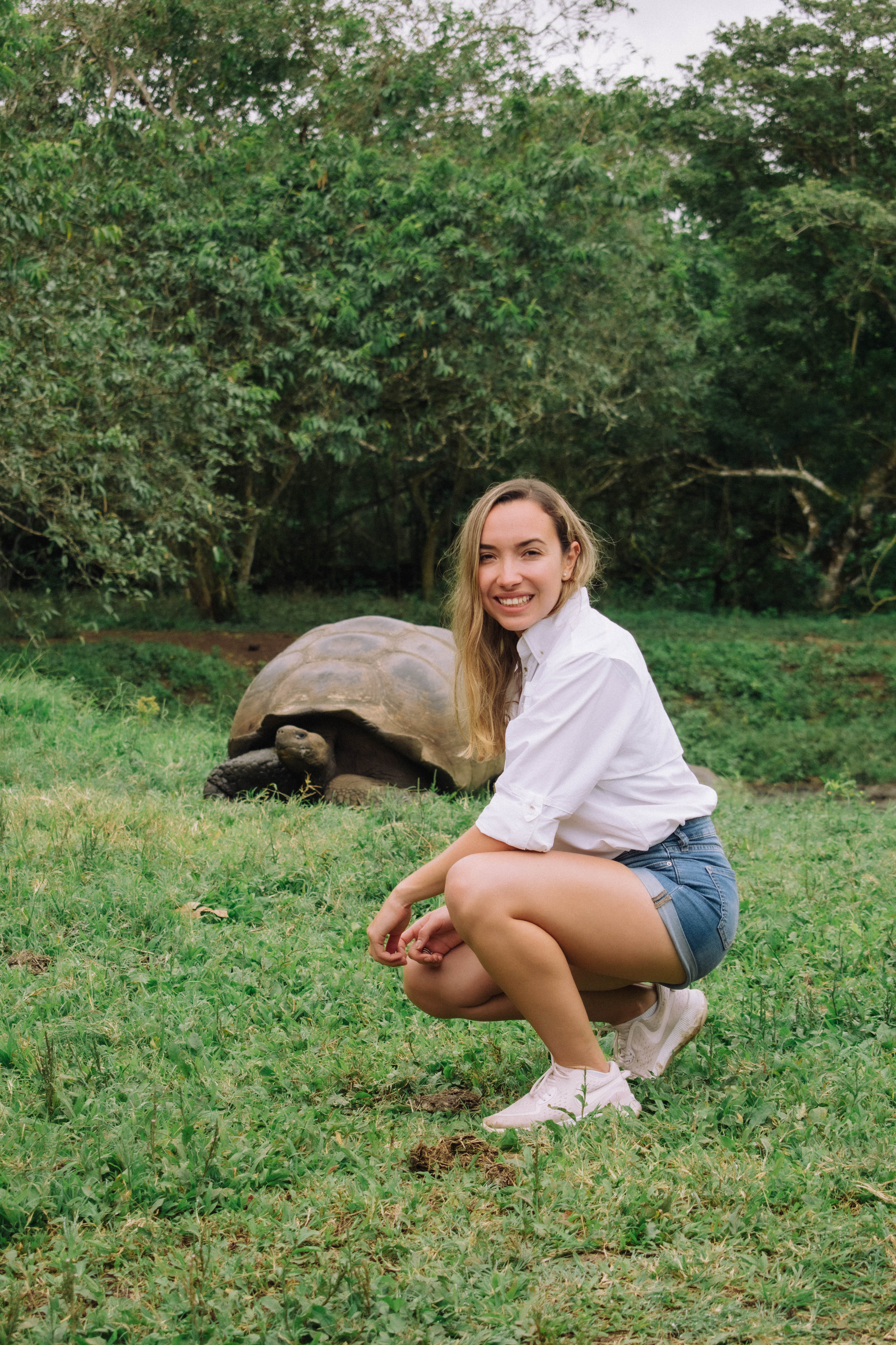 Galapagos Tortoise Rancho Chato