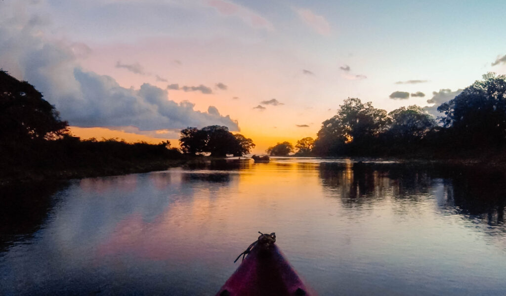 birdwatching Ometepe Nicaragua