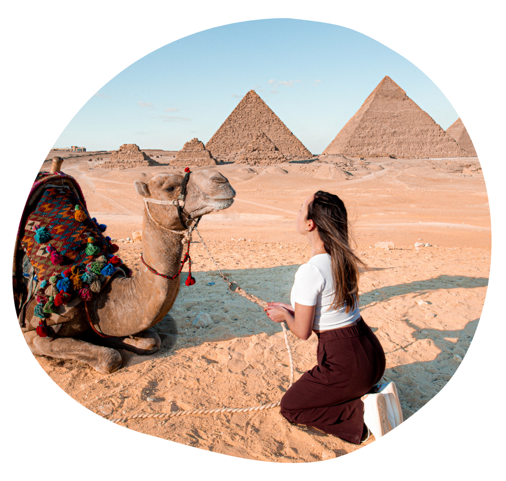 Pyramids of Giza Camel kiss