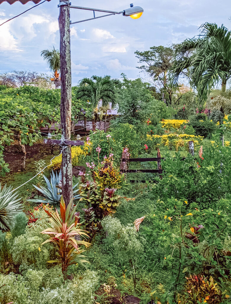 Finca Magdalena, Ometepe, Nicaragua