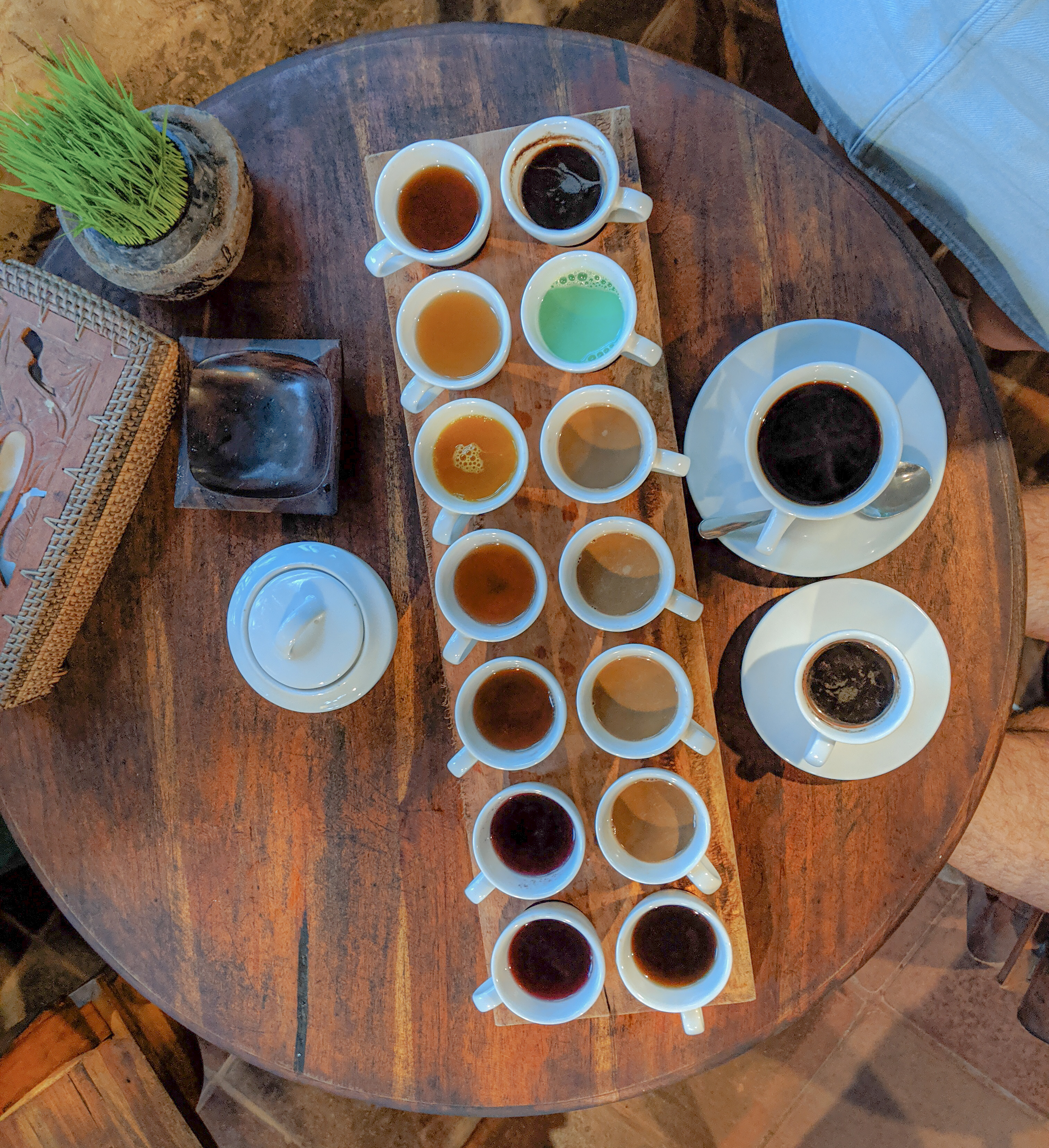 coffee tasting in Bali