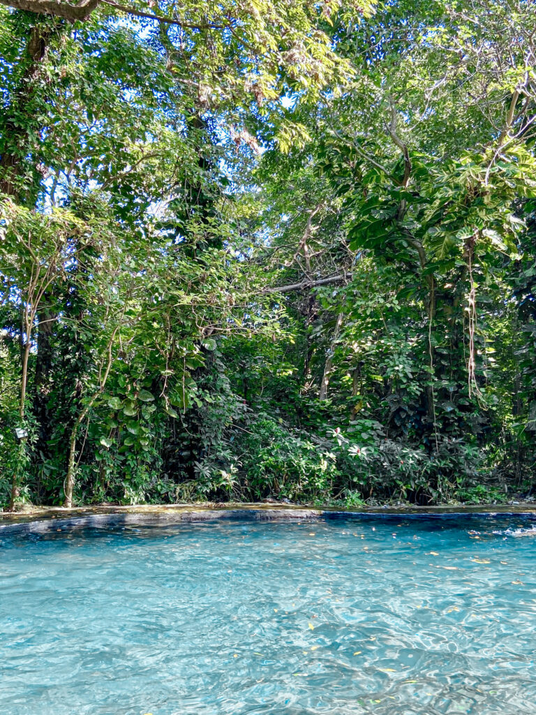 Ojo de Agua, Ometepe, Nicaragua