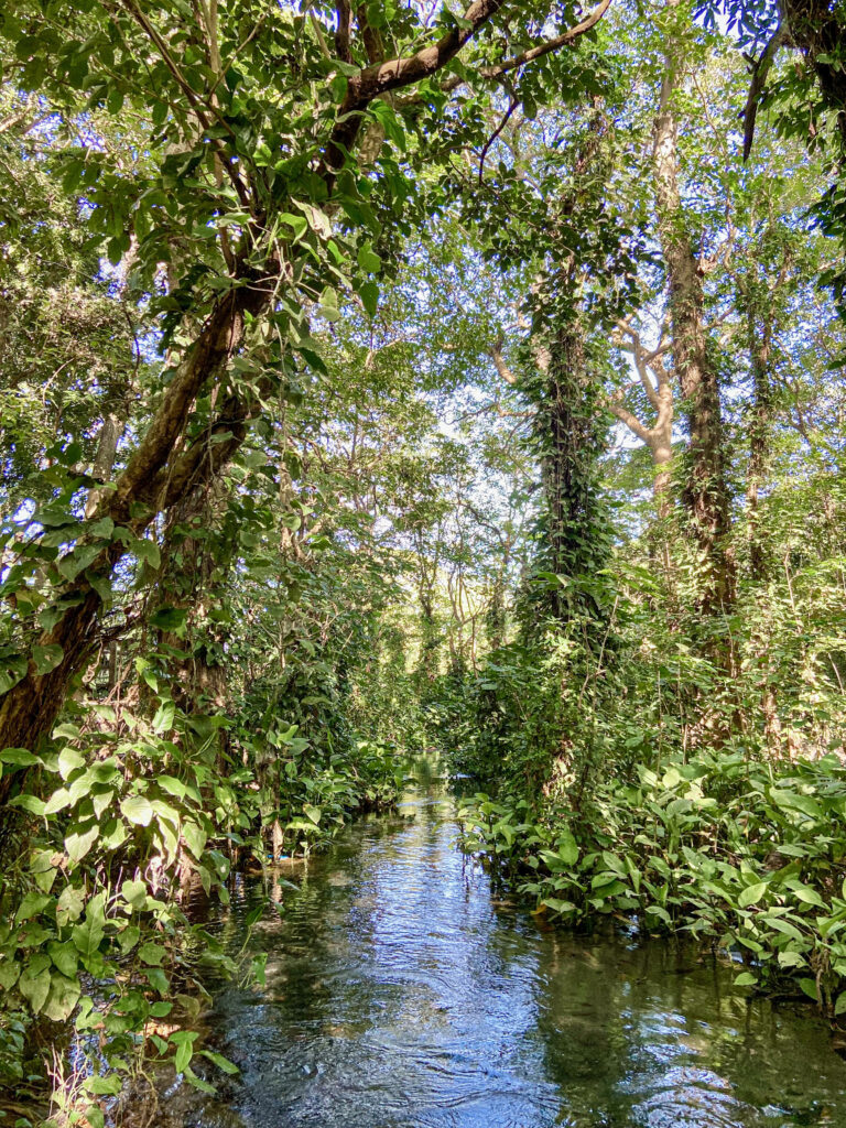 Ometepe, Nicaragua